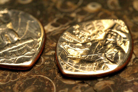 Coin Guitar Pick